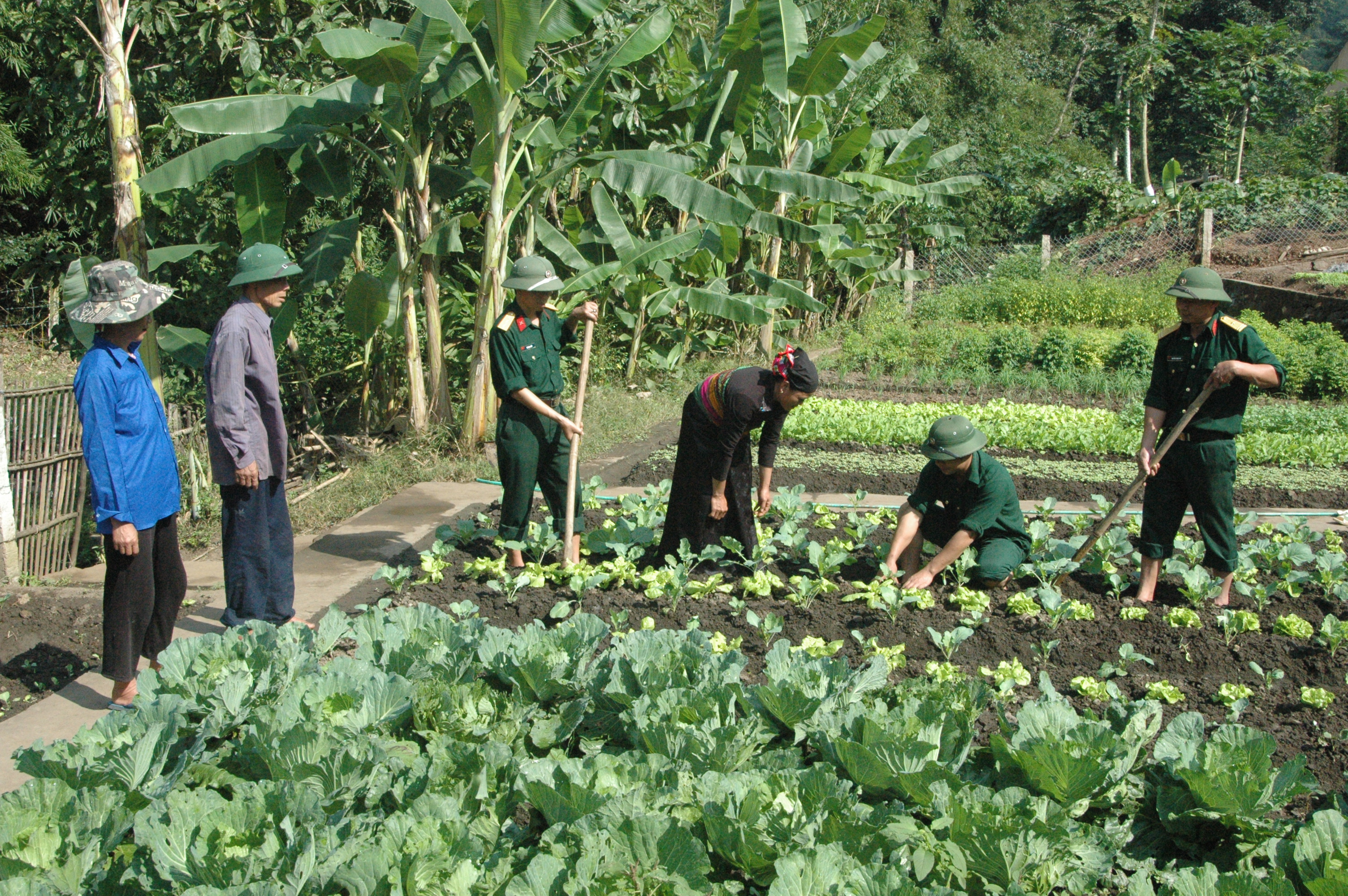 Đổi thay trên vùng đất khó